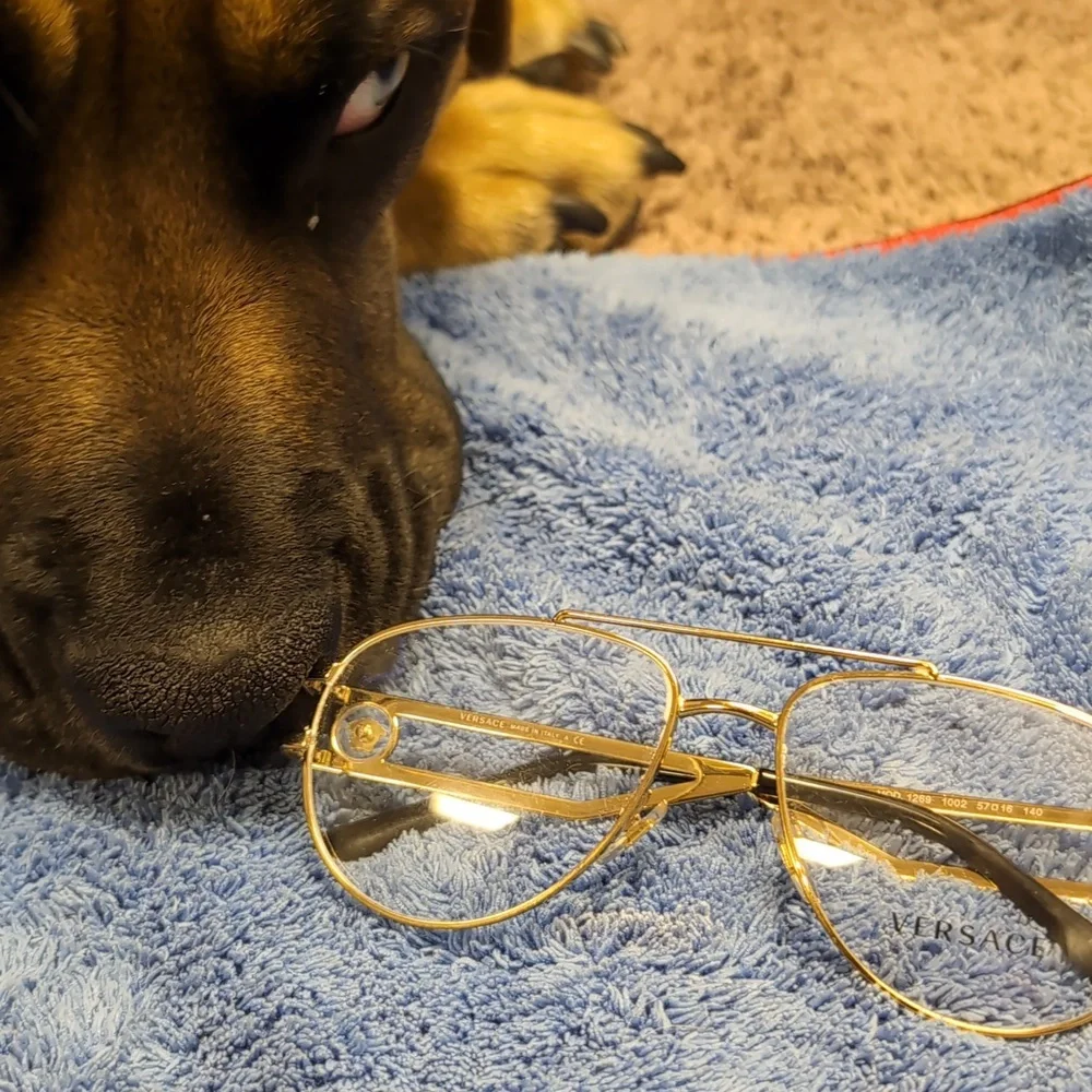 Versace frames - Picture 5 of 5